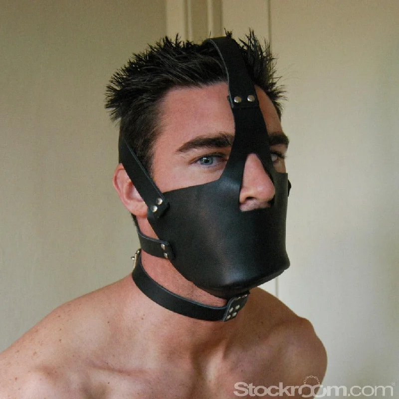 Leather Head Harness with Muzzle