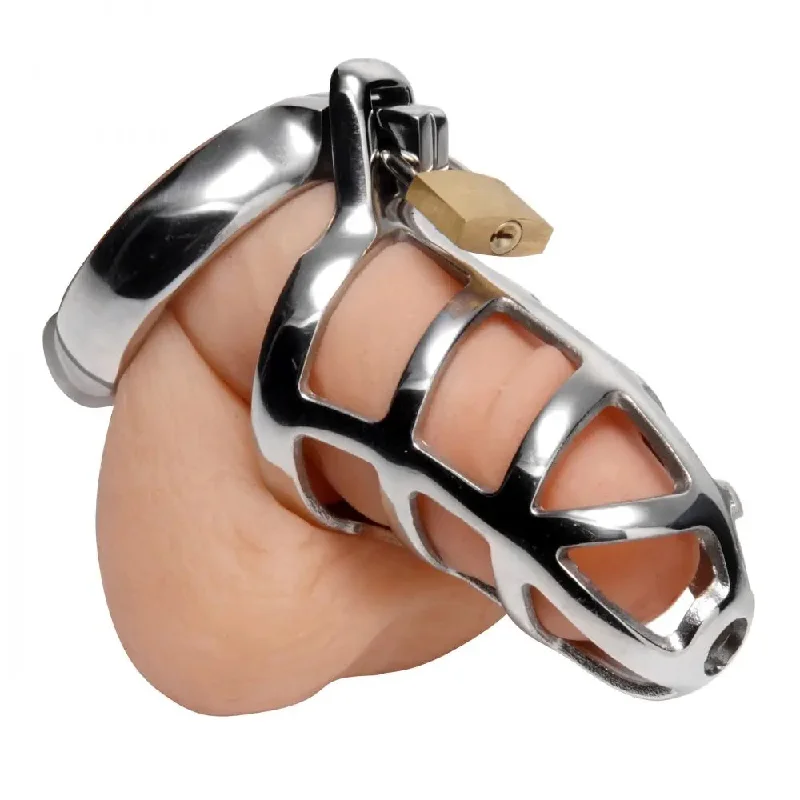 Detained Stainless Steel Chastity Cage BDSM CBT Toys Femdom