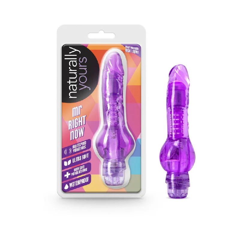 vibrating anal massager with adjustable functions for couples-Blush Naturally Yours Mr Right Now - Purple